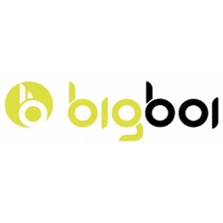 BigBoi BlowR Mini+ elektrický vysoušeč